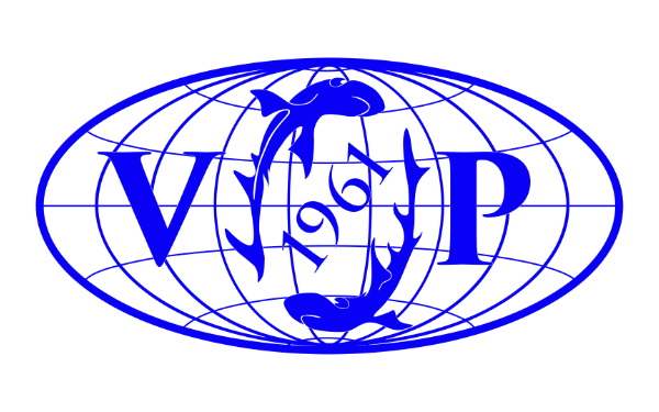 vpe-logo-blue