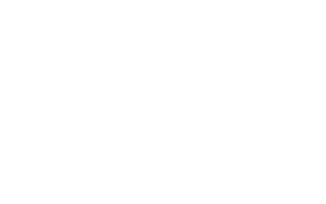 vpe-logo-white