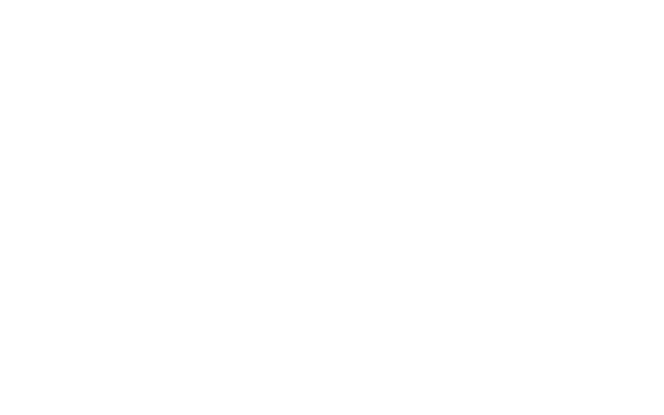 vpe-logo-white