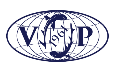 vpe-logo-dark-blue
